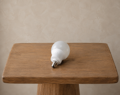 Bombilla LED Recargable E14 con Mando a Distancia